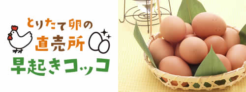 「とりたて卵の直売所 早起きコッコ」ロゴとたまごイメージ写真