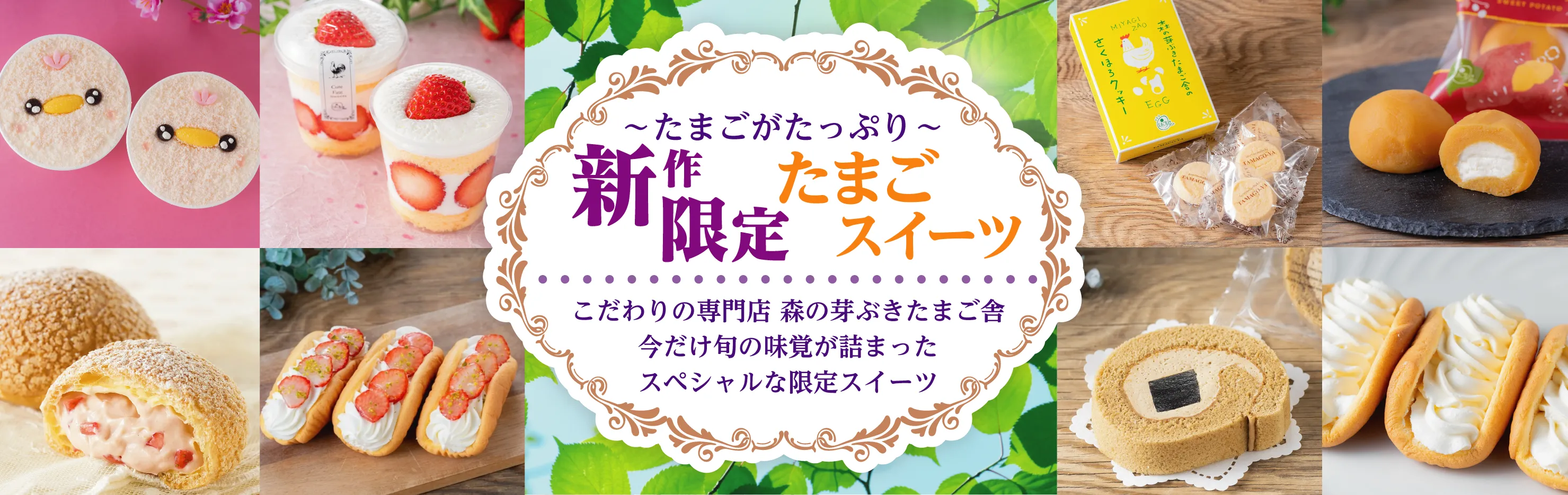 �ڡ����ޤ������äפ�� ������ꤿ�ޤ��������ġ� ��������������Ź�����β�֤����ޤ��ˡ��������νܤ�̣�Ф��ͤޤä����ڥ����ʸ��ꥹ������