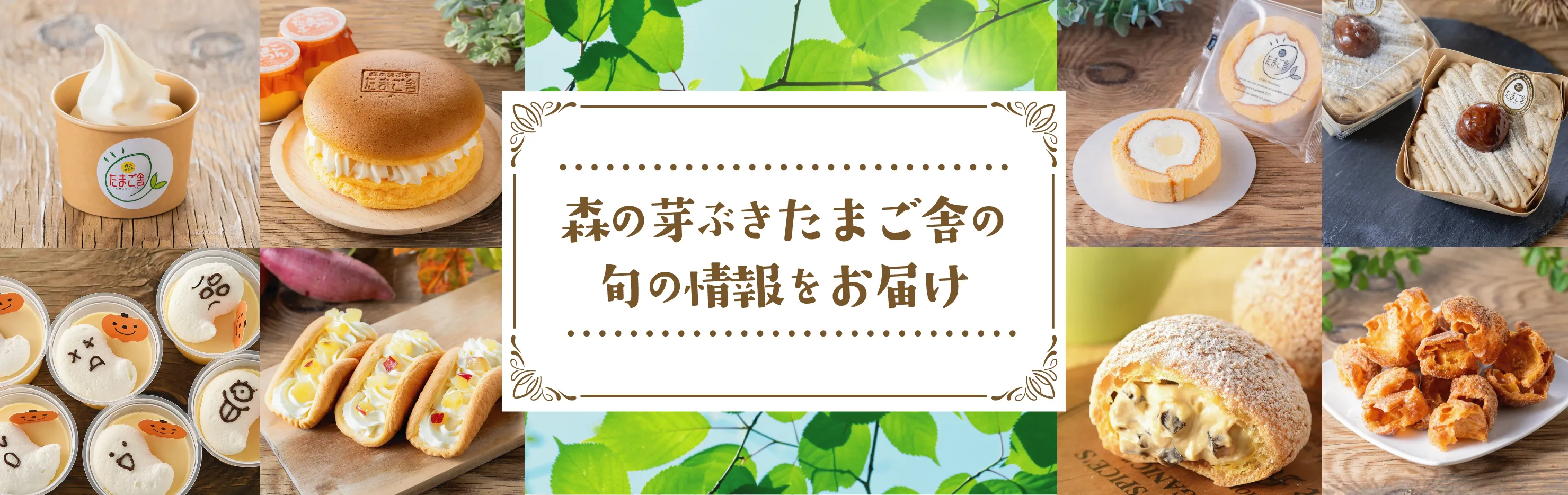 森の芽ぶきたまご舎の旬の情報をお届け