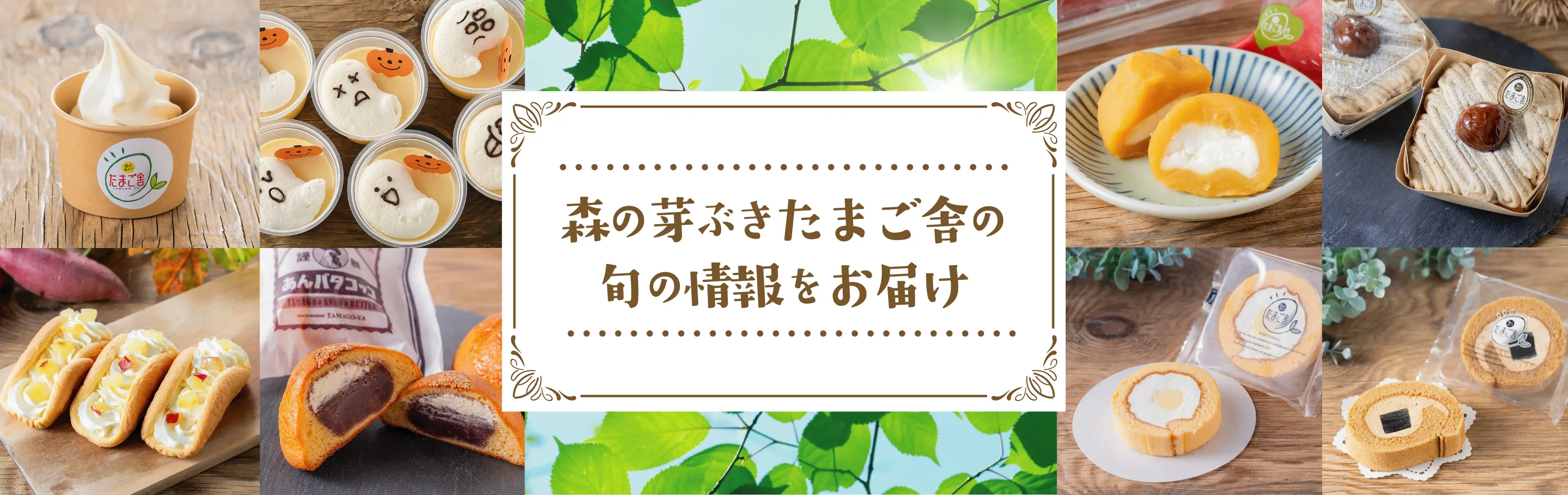 森の芽ぶきたまご舎の旬の情報をお届け